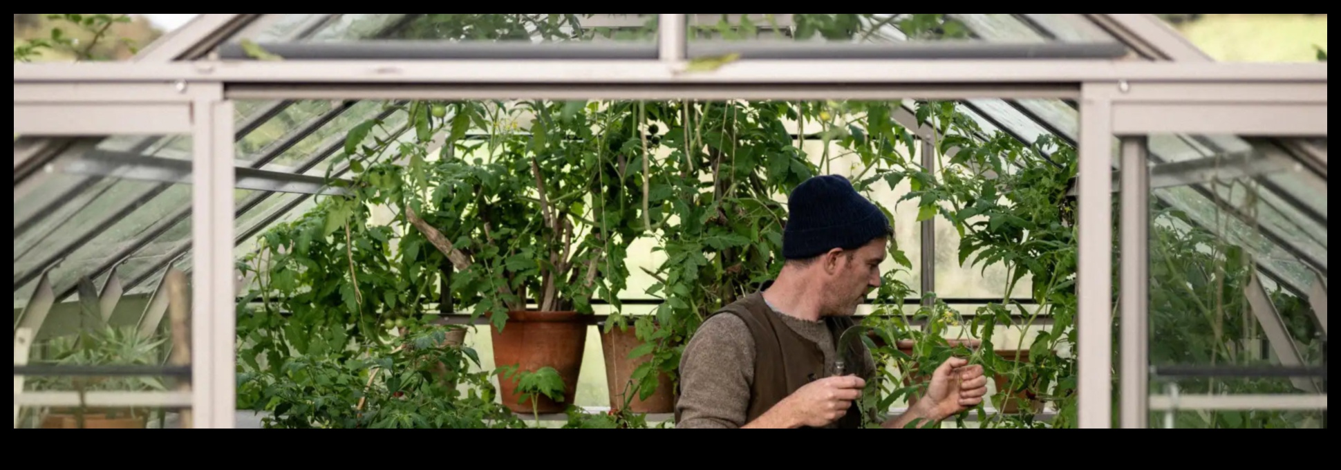 לזרוע, לפרוח, לשגשג: יתרון החממה