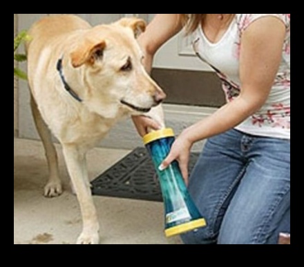 כפות ומשחק: מתנות לחברים בעלי ארבע רגליים