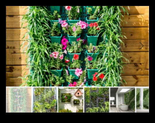 חיים ירוקים בפנים: השראה לגינון מקורה