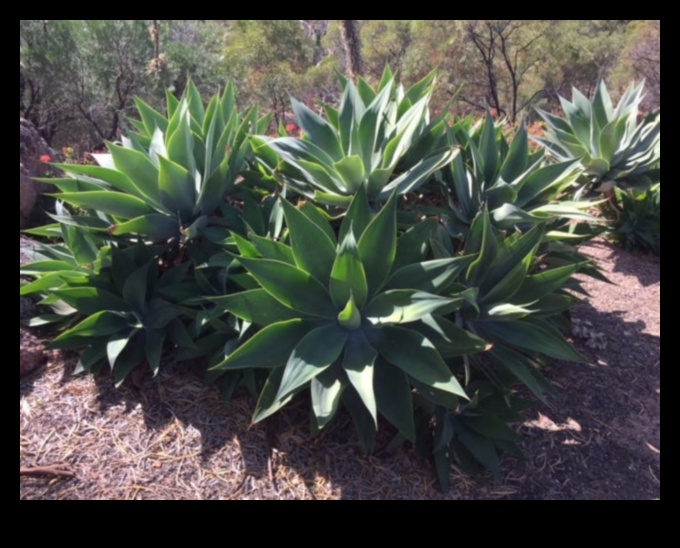 שורשי החוסן: החוזק מאחורי טיפול מומחה בגינה