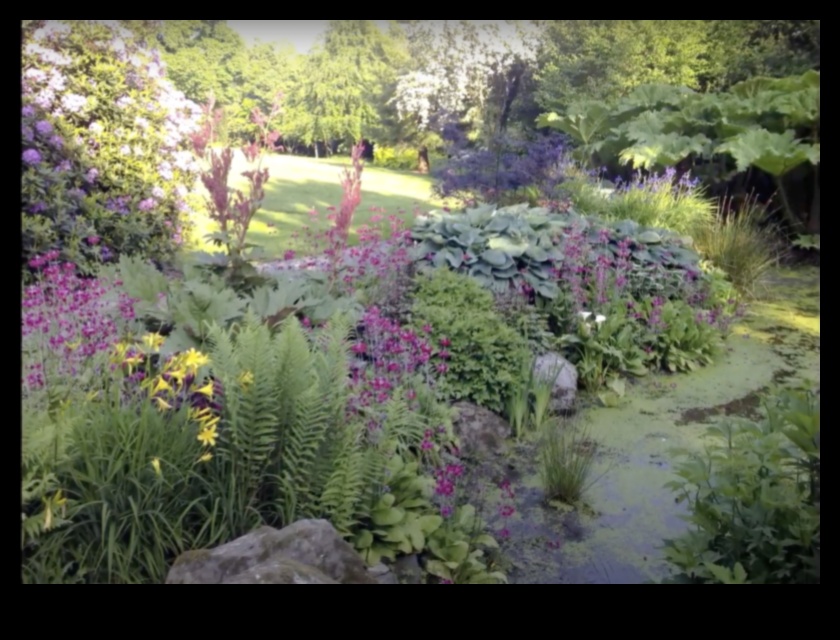 Blossom Brilliance: יצירות עשה זאת בעצמך לגן עדן קורן