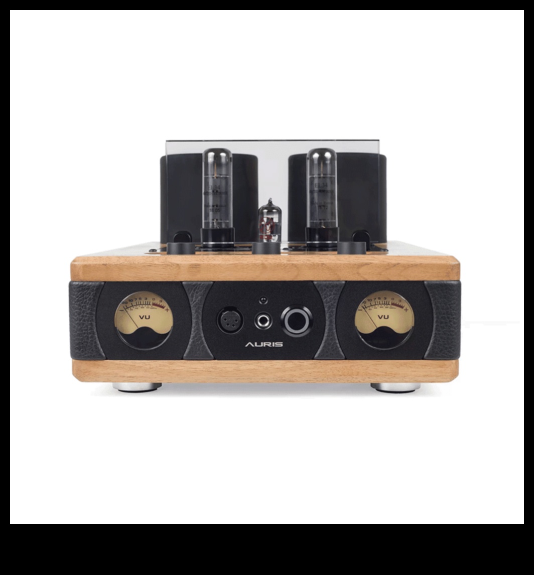 גן עדן לאוזניות: מגברים ואלקטרוניקה לסאונד אישי נירוונה