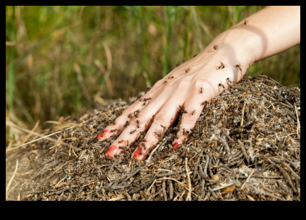 גן עדן מוגן ממזיקים: מדריך לגנן לפריחה הירוקים