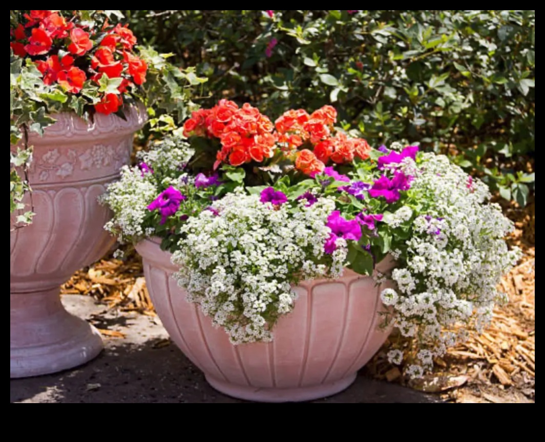 Bloom Brilliance: טיפים מובילים לגן עדן קורן