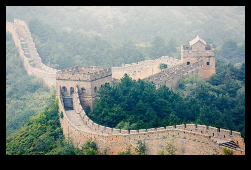 עקוב אחר יצירת המופת: צגים ברזולוציה גבוהה למצוינות חזותית