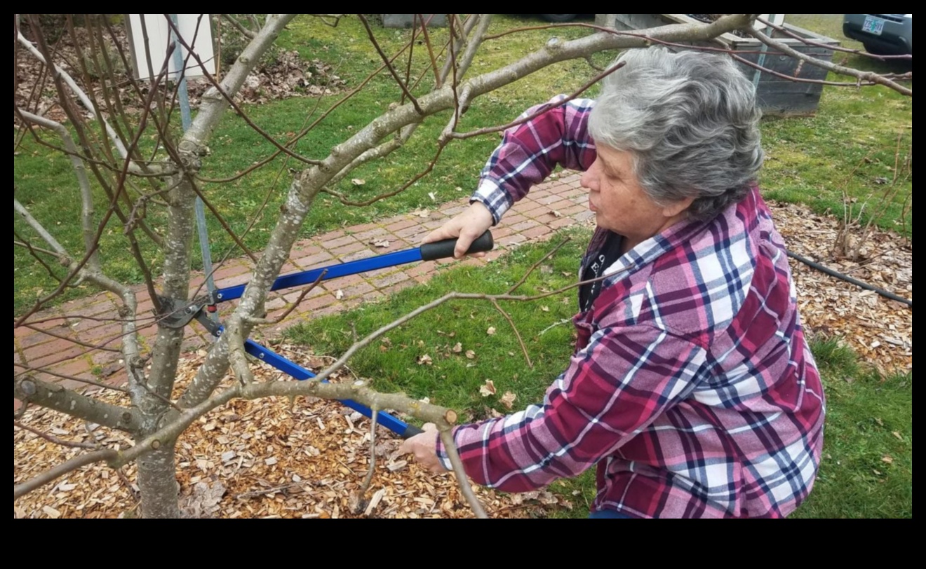 ידע קציר: הצטרפו לסדנאות התנועה של גן