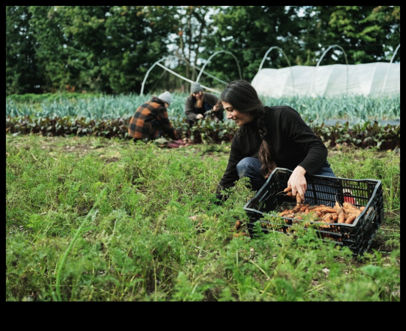 ידע קציר: הצטרפו לסדנאות התנועה של גן