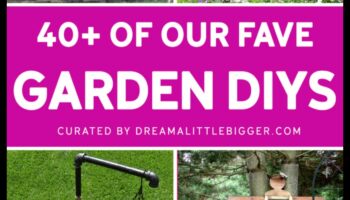 הגשמת חלומות גן: פרויקטים בעצמך שעושים שינוי