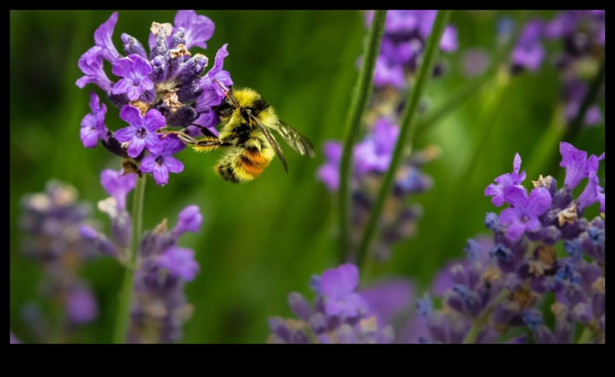 גן עדן מוגן ממזיקים: מדריך לגנן לפריחה הירוקים