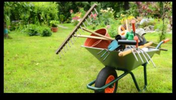 לחפור עמוק, לשגשג גבוה: כלי גינה חיוניים מוגדרים