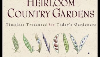 מורשת מורשת: יצירות קלאסיות, יופי מתמשך