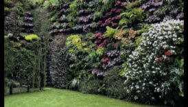 פריחה בשמיים: אמנות לכבות גנים אנכיים