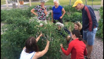 ידע קציר: הצטרפו לסדנאות התנועה של גן