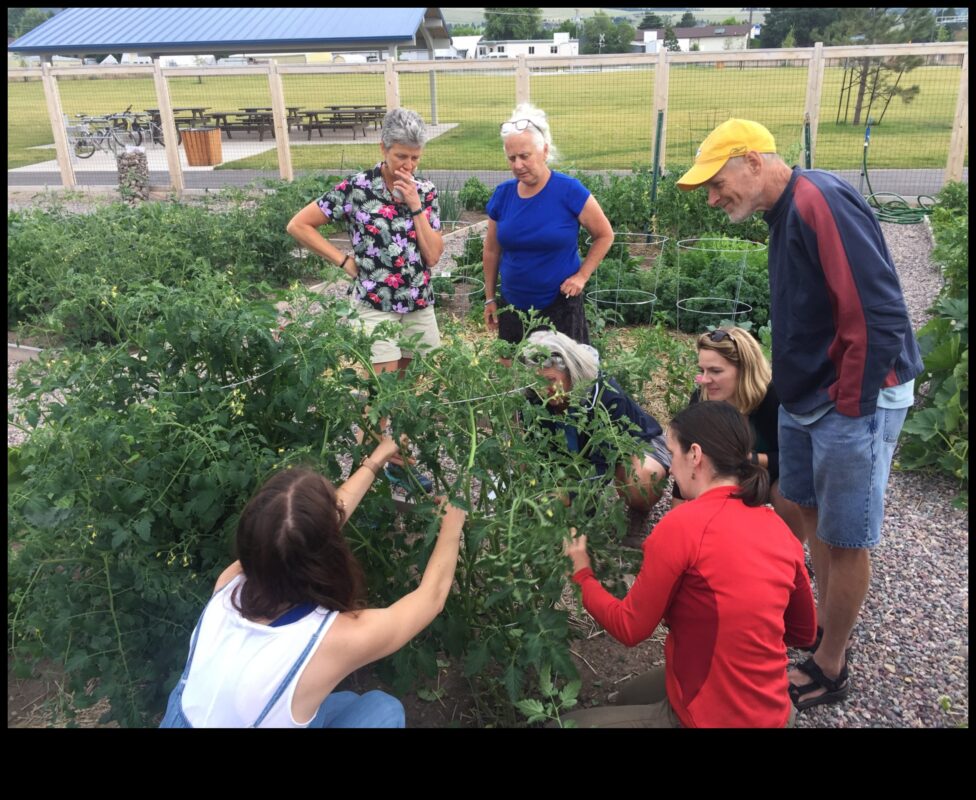 ידע קציר: הצטרפו לסדנאות התנועה של גן