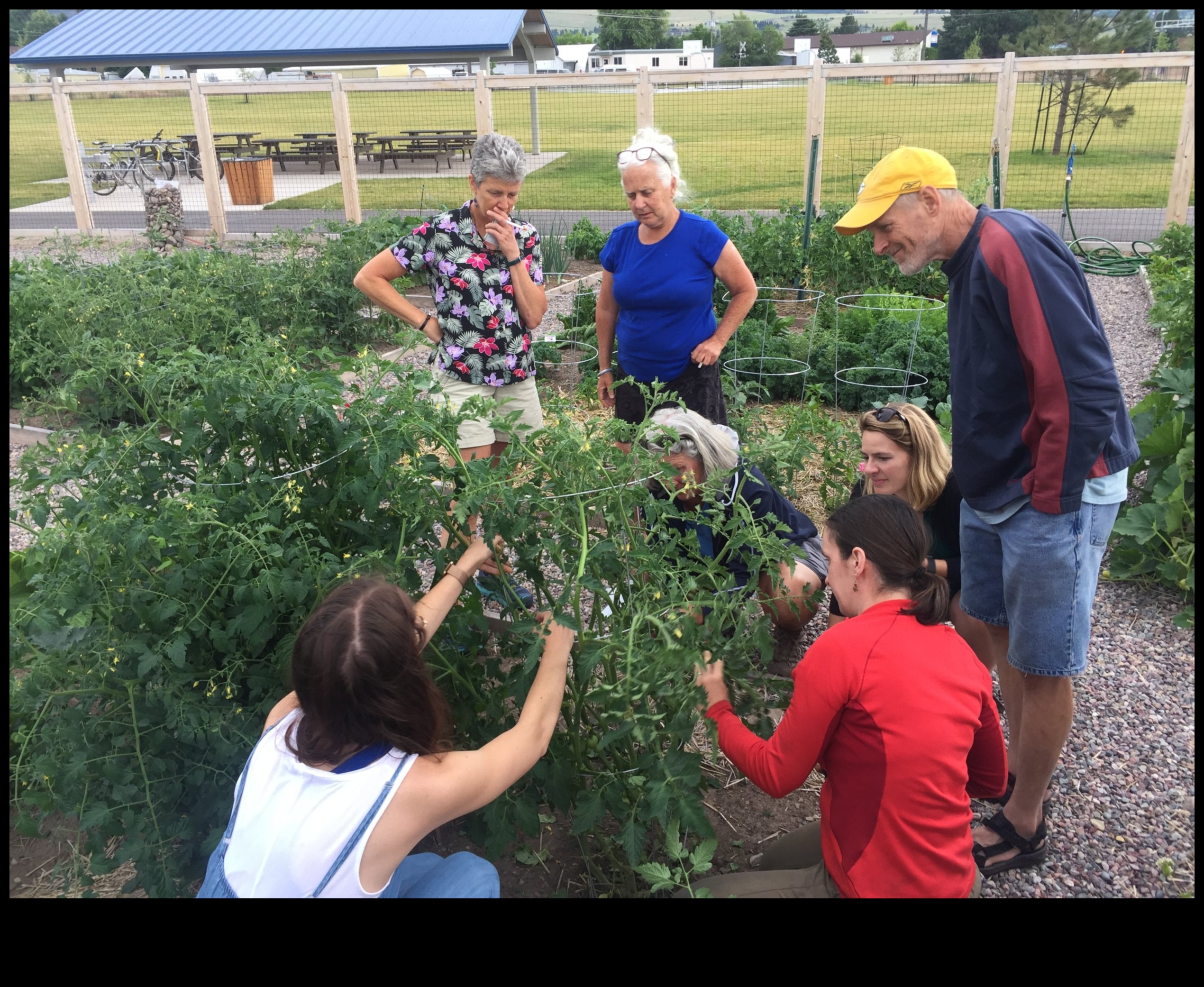 ידע קציר: הצטרפו לסדנאות התנועה של גן