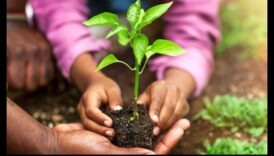 שורשי החוסן: החוזק מאחורי טיפול מומחה בגינה