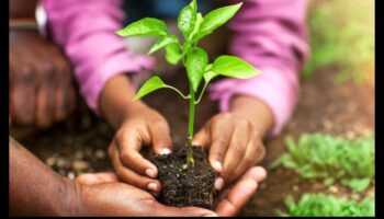 שורשי החוסן: החוזק מאחורי טיפול מומחה בגינה
